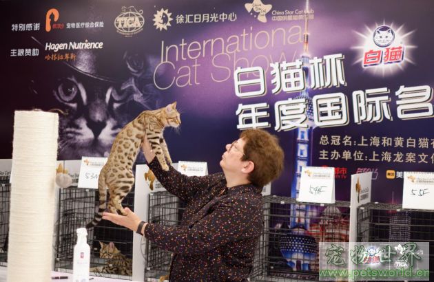 点此在新窗口浏览图片