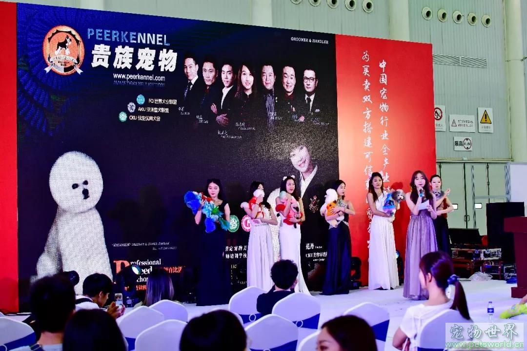 点此在新窗口浏览图片