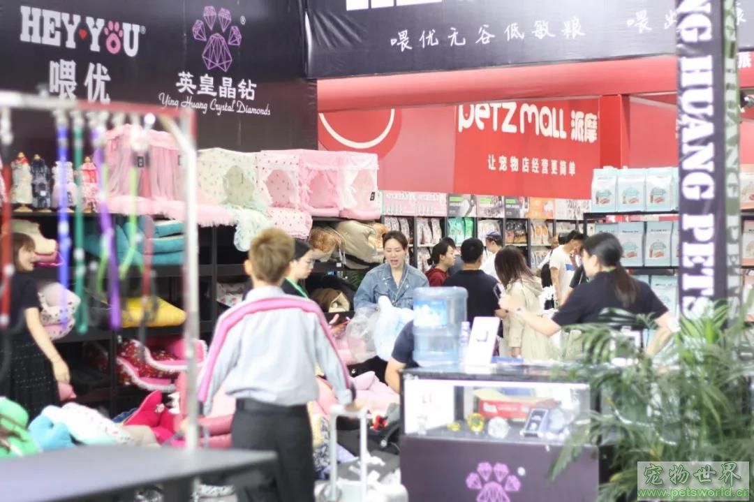 点此在新窗口浏览图片