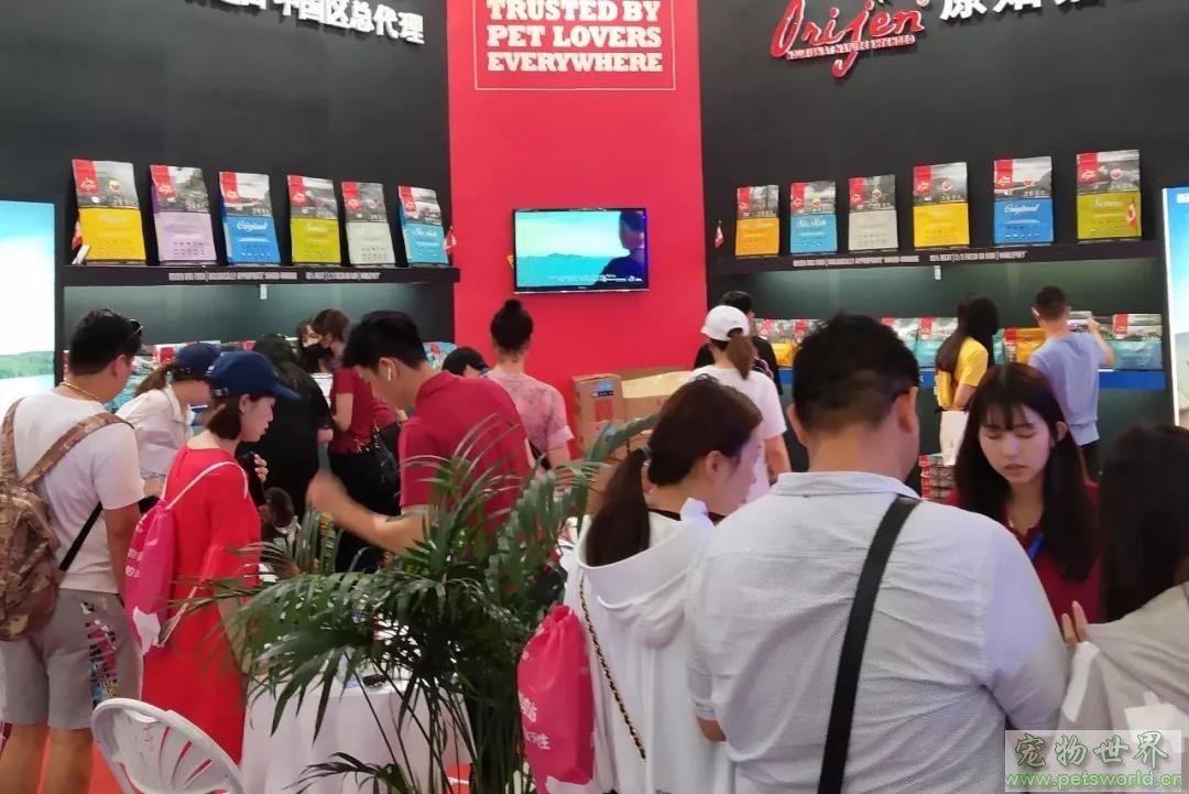 点此在新窗口浏览图片