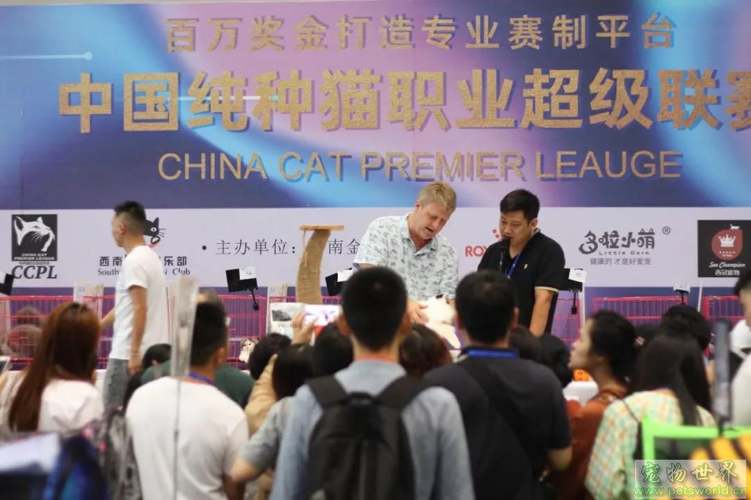 点此在新窗口浏览图片