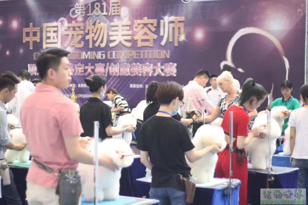 点此在新窗口浏览图片