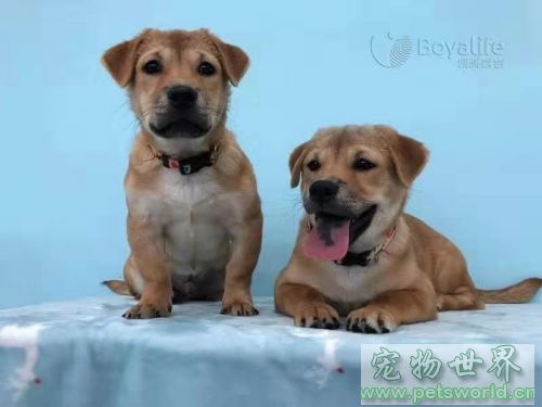 点此在新窗口浏览图片