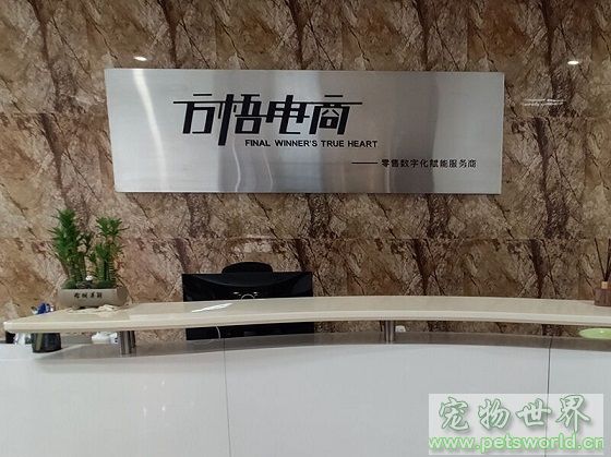 点此在新窗口浏览图片