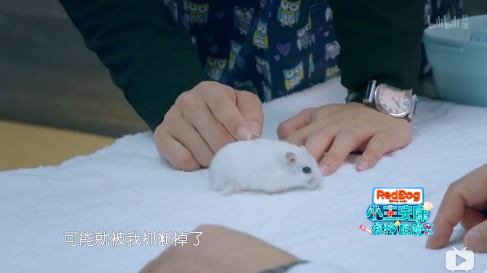 点此在新窗口浏览图片