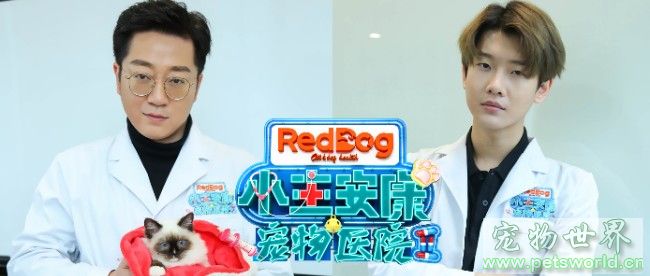 点此在新窗口浏览图片