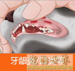 点此在新窗口浏览图片