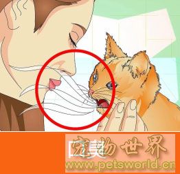 点此在新窗口浏览图片