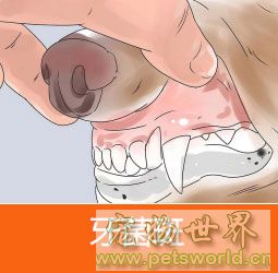 点此在新窗口浏览图片