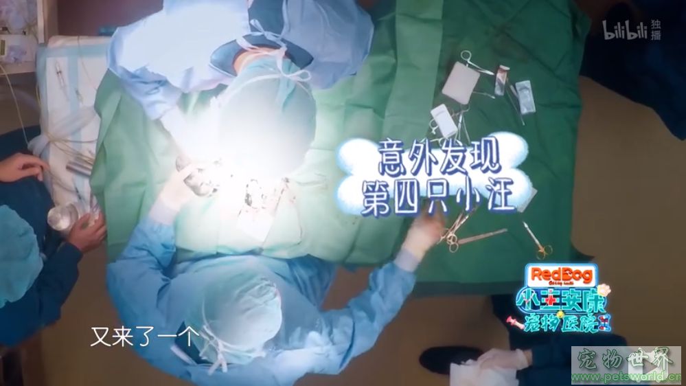 点此在新窗口浏览图片