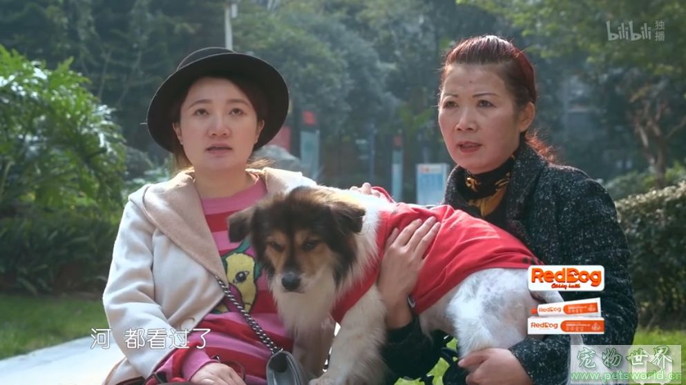 点此在新窗口浏览图片
