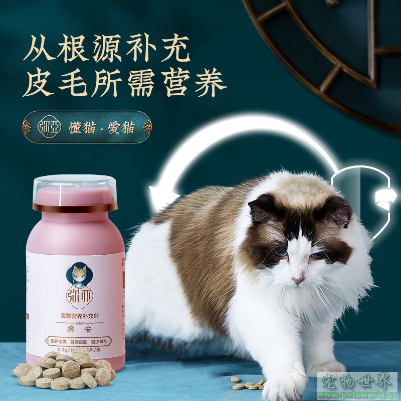 点此在新窗口浏览图片