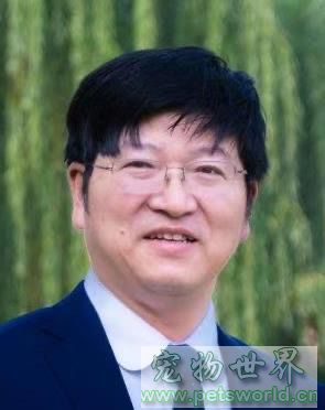 点此在新窗口浏览图片