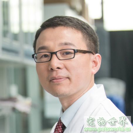 点此在新窗口浏览图片