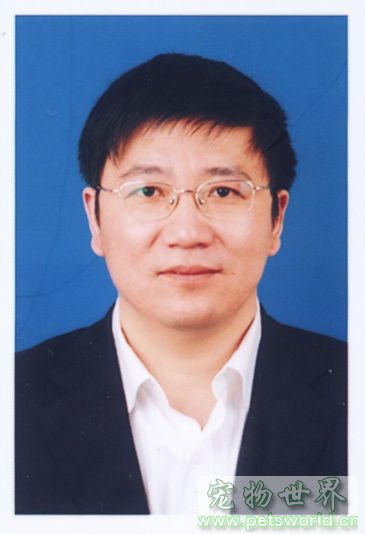 点此在新窗口浏览图片