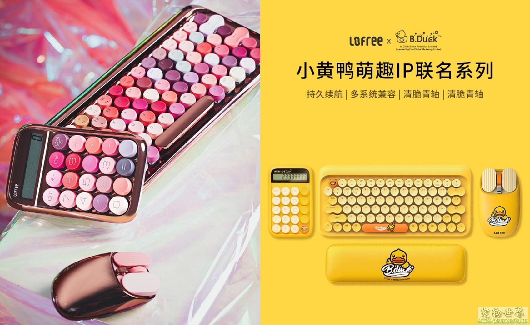 点此在新窗口浏览图片