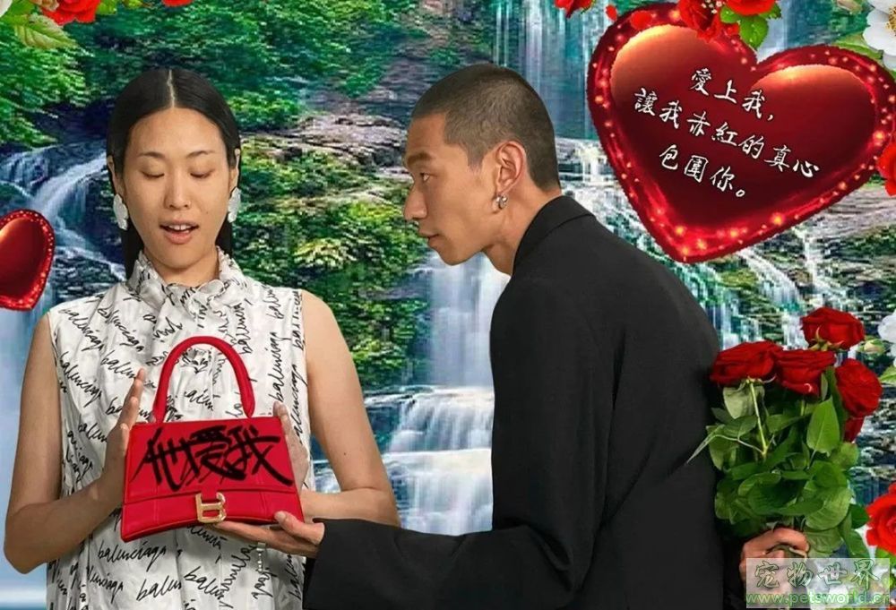点此在新窗口浏览图片