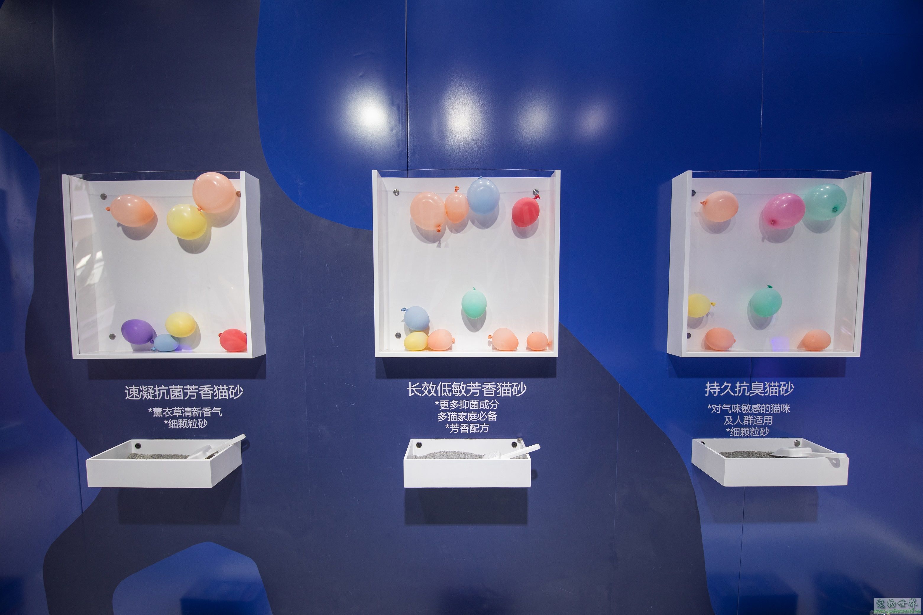 点此在新窗口浏览图片