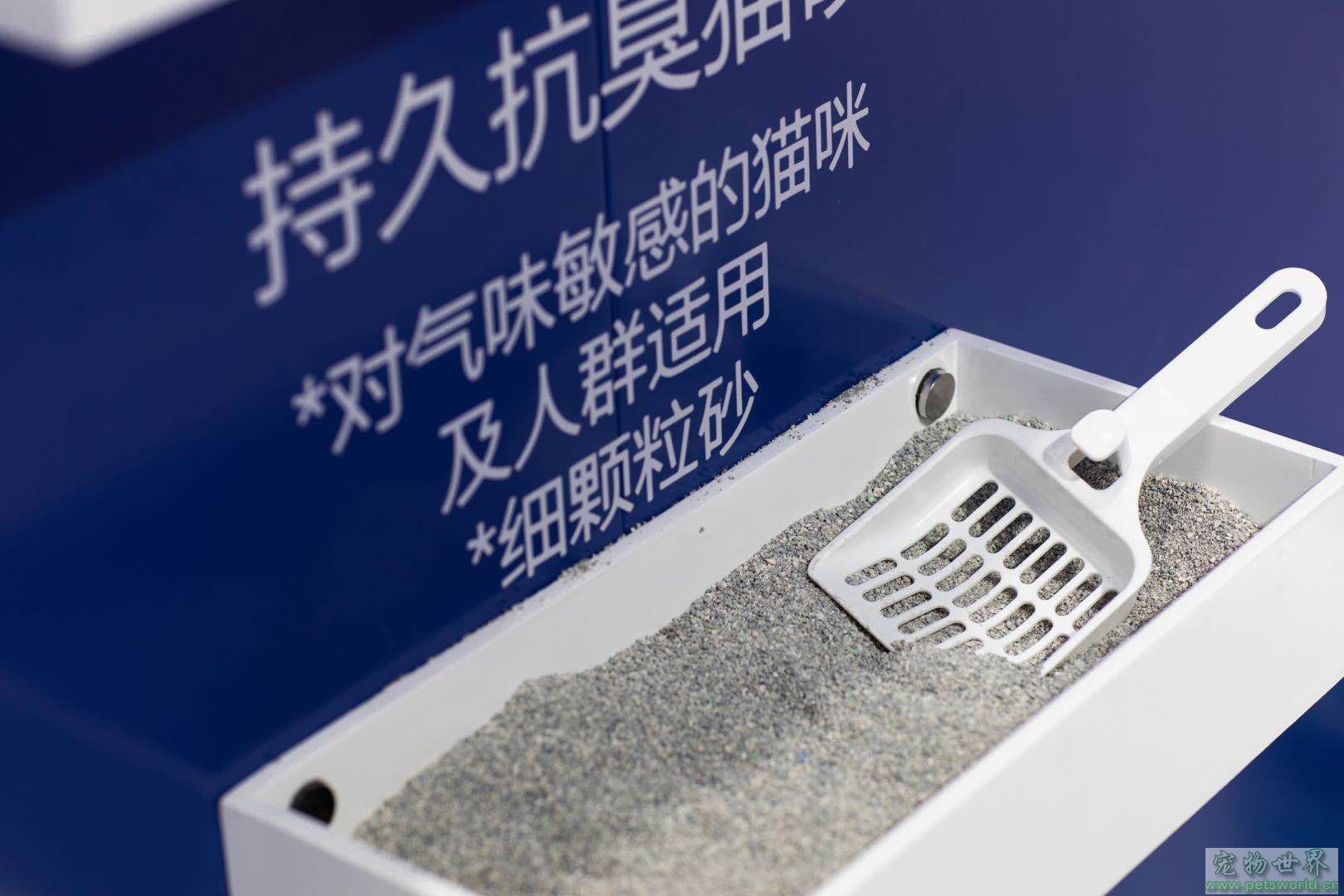 点此在新窗口浏览图片