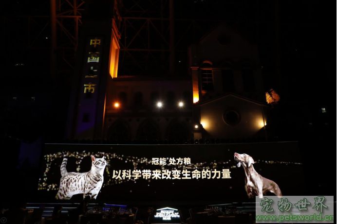 点此在新窗口浏览图片