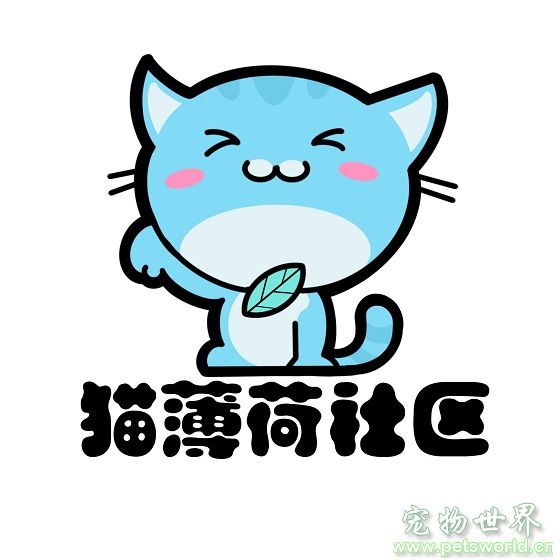 点此在新窗口浏览图片