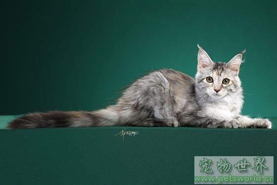 点此在新窗口浏览图片