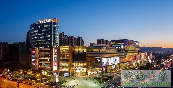 点此在新窗口浏览图片