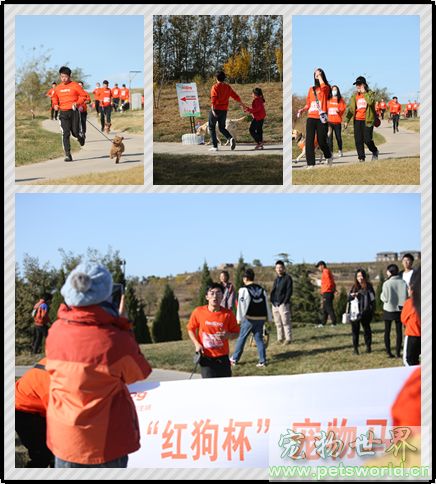 点此在新窗口浏览图片