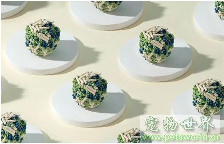 点此在新窗口浏览图片