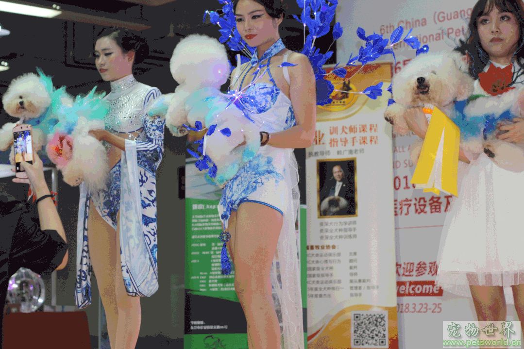点此在新窗口浏览图片