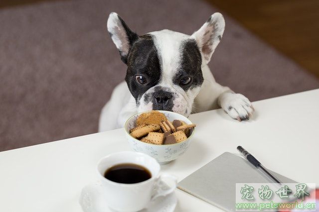 点此在新窗口浏览图片