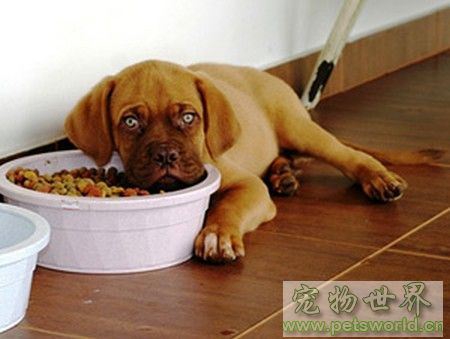 点此在新窗口浏览图片