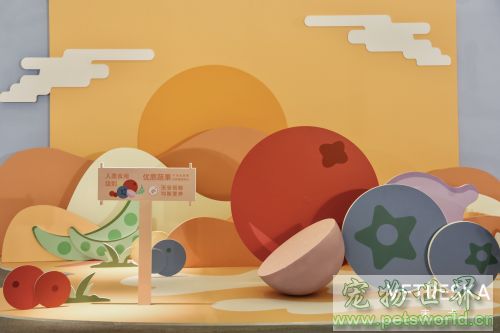 点此在新窗口浏览图片