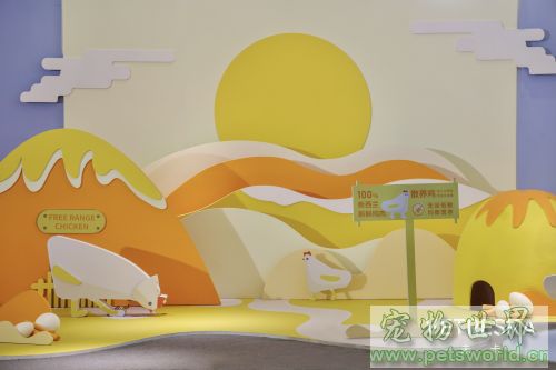 点此在新窗口浏览图片