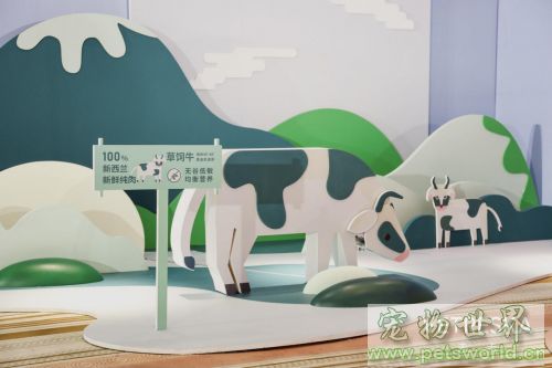 点此在新窗口浏览图片