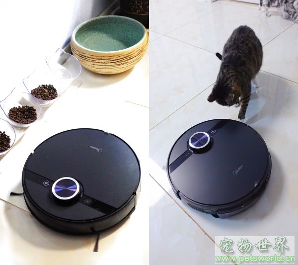 点此在新窗口浏览图片