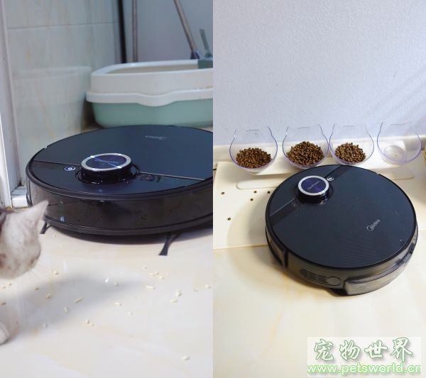 点此在新窗口浏览图片