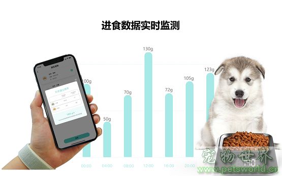 点此在新窗口浏览图片