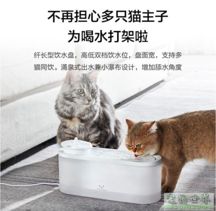点此在新窗口浏览图片
