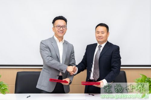 点此在新窗口浏览图片