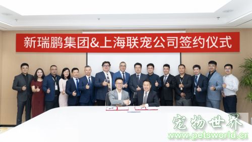 点此在新窗口浏览图片