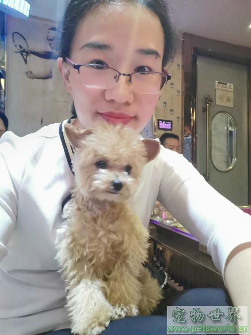 点此在新窗口浏览图片
