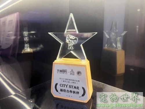 点此在新窗口浏览图片