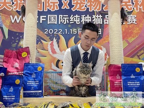 点此在新窗口浏览图片
