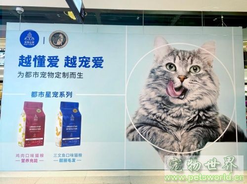 点此在新窗口浏览图片