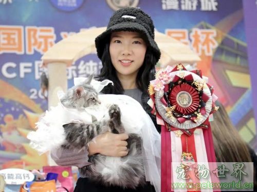 点此在新窗口浏览图片