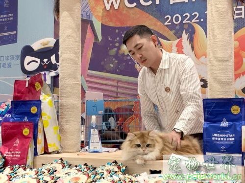点此在新窗口浏览图片