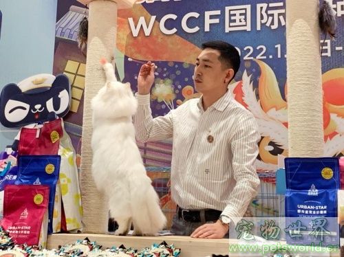 点此在新窗口浏览图片