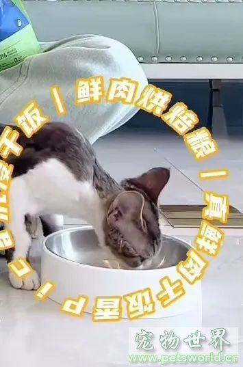 ´ͼƬ