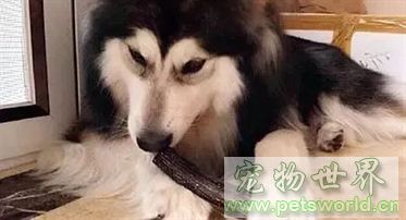 点此在新窗口浏览图片